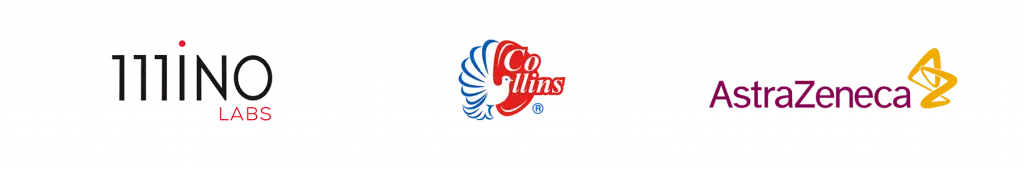 grupo 4